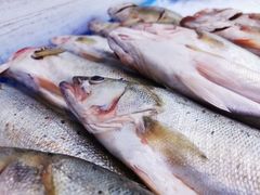 -舜和枣庄大酒店