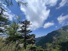 -朱雀国家森林公园