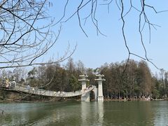 -东湖落雁景区