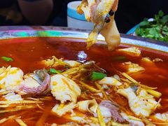 -蛙一刀·麻椒鱼火锅(金仙桥店)