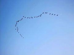 -洨河生态公园