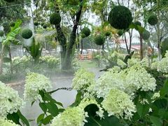 -广东花都香草世界旅游度假区