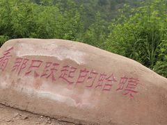 -磬锤峰森林公园