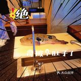 会吃是福