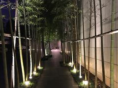 -上海柏悦酒店