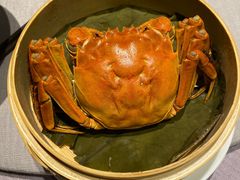 -子福慧(虹桥店)