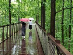 -黄海国家森林公园