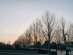 -迪士尼小镇