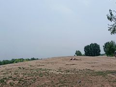 -东郊湿地公园