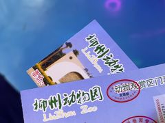 -柳州市动物园