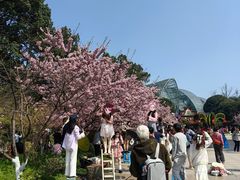 -南山植物园