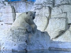 -大连老虎滩海洋公园