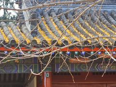 -承恩寺