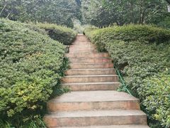 -南山植物园