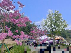 -盈香心动乐园