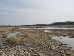 -绿堤公园