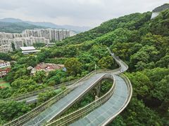 -福道