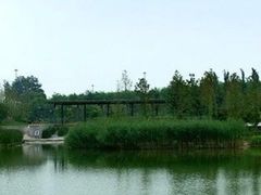 -大望京公园
