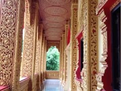 环境-西双版纳勐泐文化旅游区