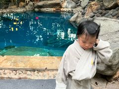 -湖泉半山温泉