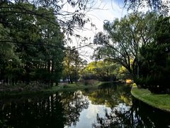 -上海共青森林公园