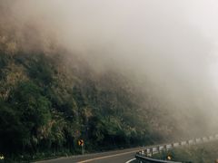 -阿里山神木遗迹