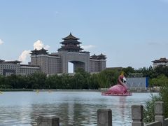 -莲花池公园