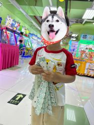 -莫莉幻想儿童乐园(北京华联亦庄购物中心店)
