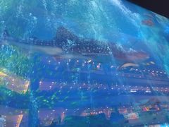 -成都浩海立方海洋公园