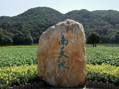 -广州市石门国家森林公园