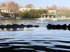 -春晖园度假酒店温泉