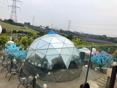 -紫颐香薰山谷景区