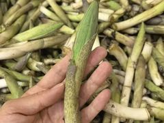 -三锅莊·牦牛肉火锅·香格里拉特色藏餐宴请餐厅(昆明创始店)