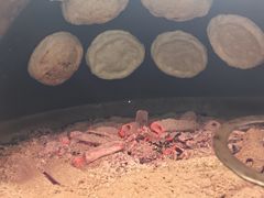 -三中高皇羊肉馆