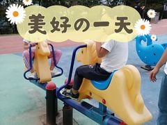 -铁山坪森林公园