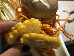 -探窝·竹笙椰子鸡(杨箕店)