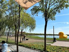 -天津东丽湖风景区