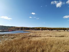 -塞罕坝国家级自然保护区