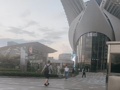 -高·尚领域