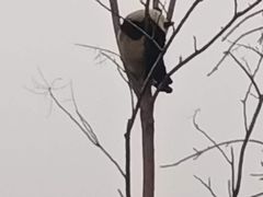 -懂食汇自助火锅