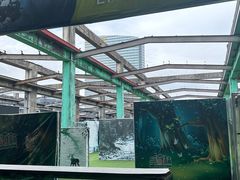 -速马赫卡丁车(琶洲店)