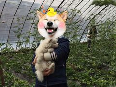 -田趣农庄草莓采摘园