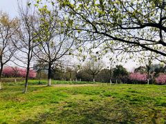 -白塘生态植物园