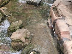 -黄龙溪古镇