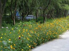 -西湖风景区-江洋畈生态公园