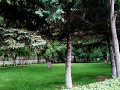 -黑龙江中医药大学