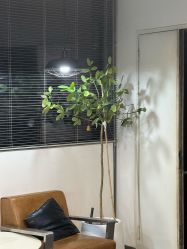 -飛凡TATTOO纹身•原创