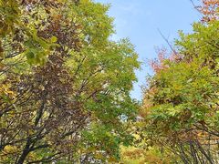 -白草畔自然风景区