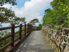 -羚羊峡古栈道森林公园