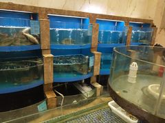 水产区-东方宴会楼(郎溪国购广场店)